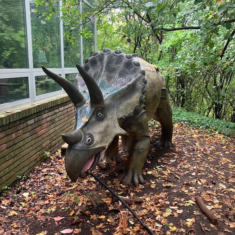 Meet your Posher, Mariam